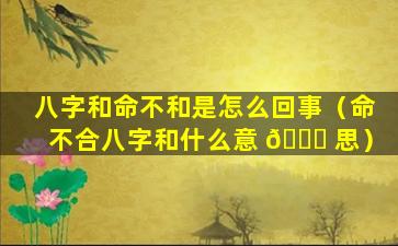 八字和命不和是怎么回事（命不合八字和什么意 🐘 思）